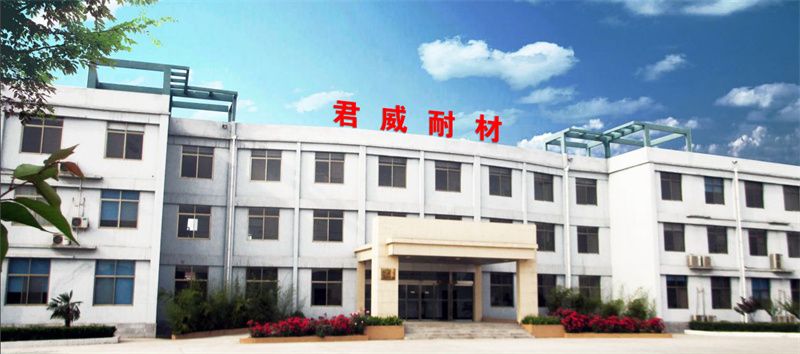 COMPANY ENVIRONMENT